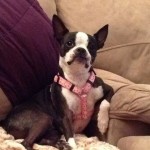 Lola